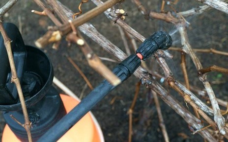 ����� ������� ��������� ��������� ����� ��� �������� ������?