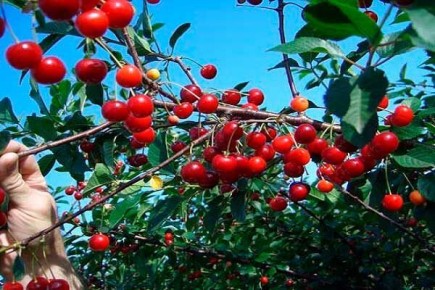 ����� ��������������: ��� ��������� ��������� ������