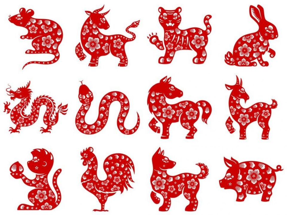 ����� ������ �������, ������� ������ ������� ����� � ������������