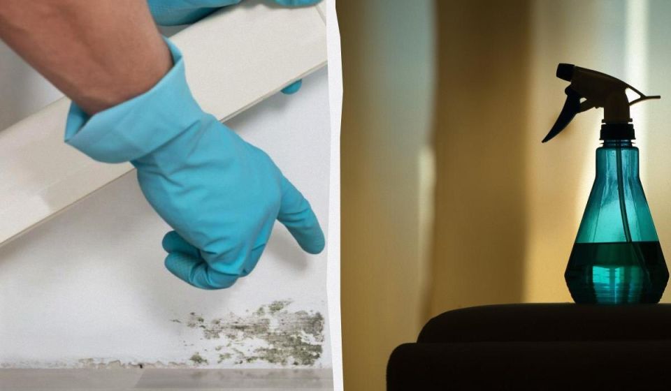 ��� �������� ����� �� �������: ������� ���� ��� ��������� �������