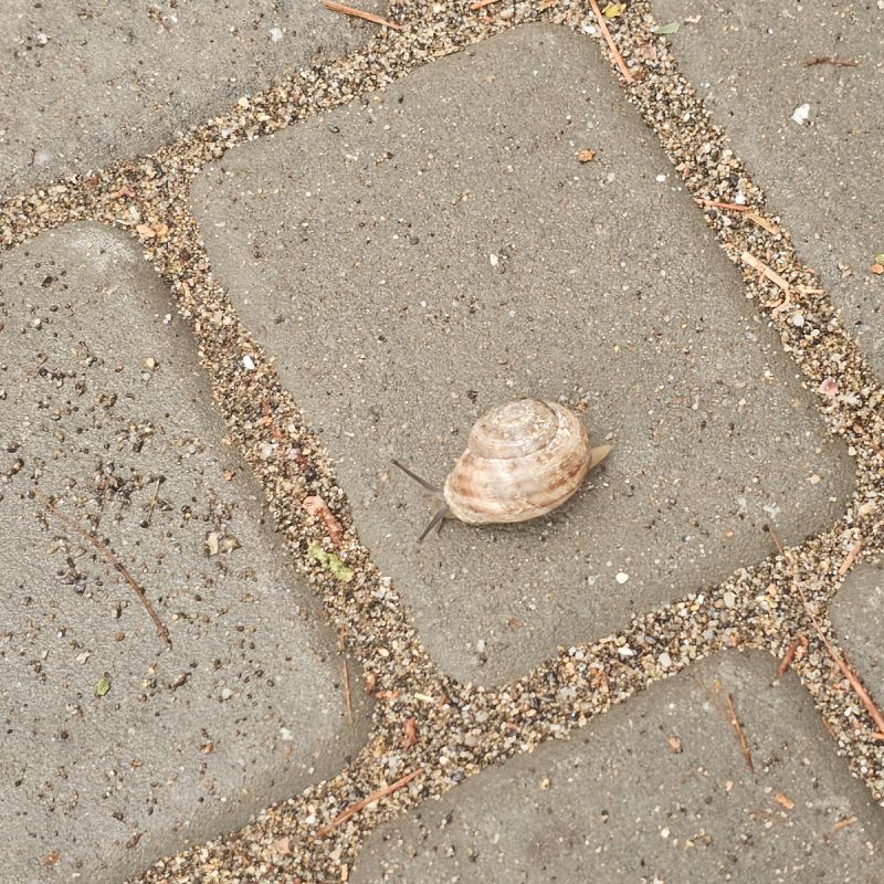 ��� ���� ���������� ������� � �������� � ������� ���