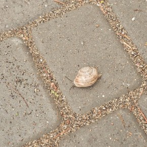 ��� ���� ���������� ������� � �������� � ������� ���