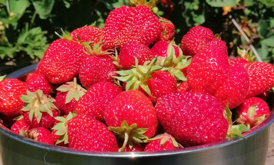 ��� �������� �������� �������� ��������: ������� ������������ �����