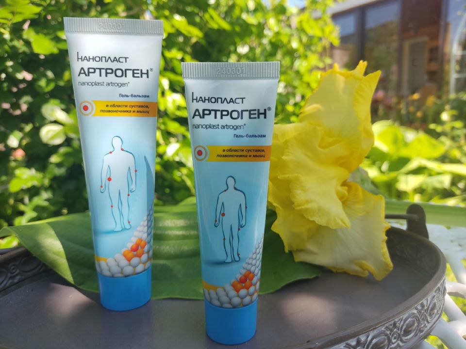 ��� ������ ���� ������������ � �������� �����������: ������� �������� � ���