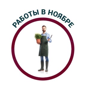 ������ � ����: �������� ������ ��� ���������� ������