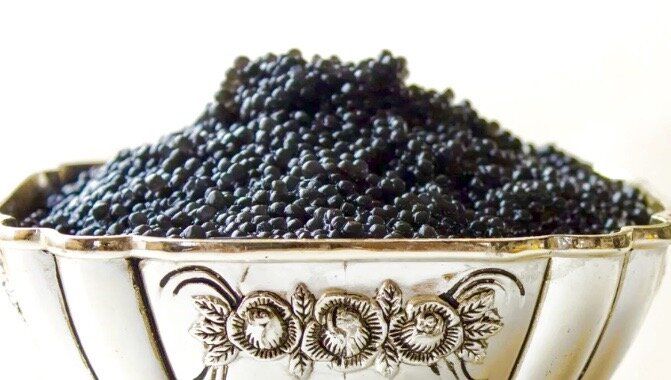 Восхитительный путь к синтетической икре: от научных экспериментов до гастрономической революции