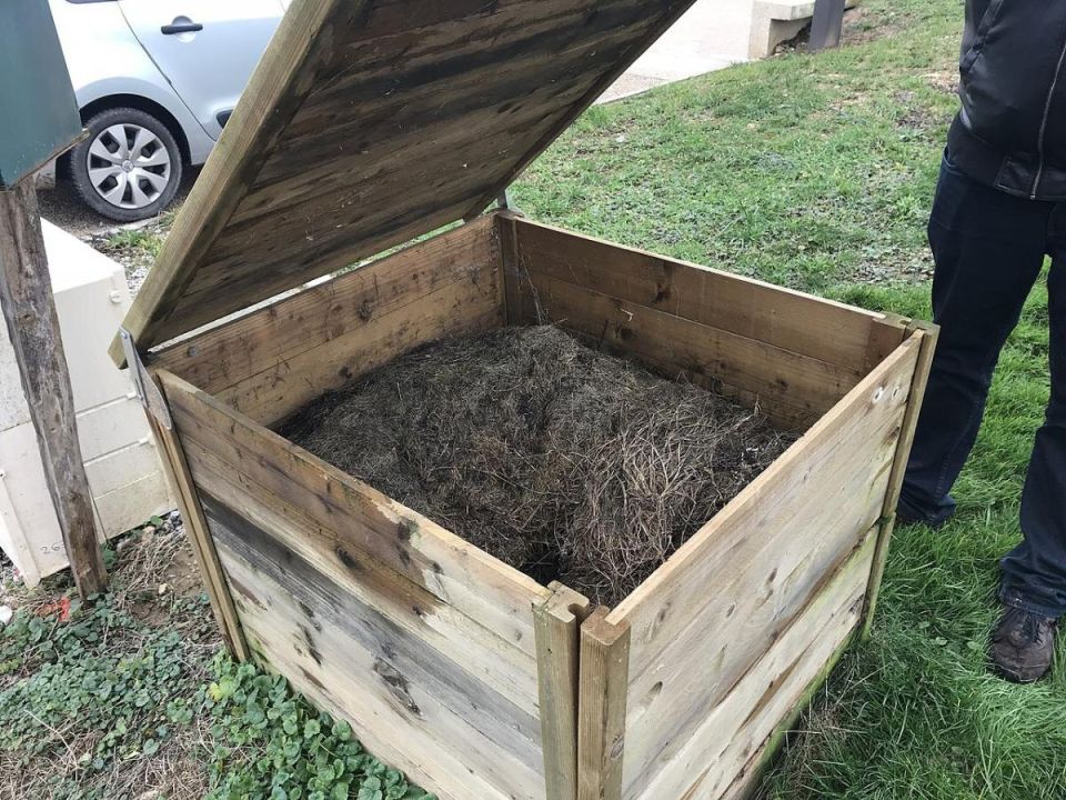 Вы не поверите, как древесная зола может изменить ваш компост — секреты садоводов