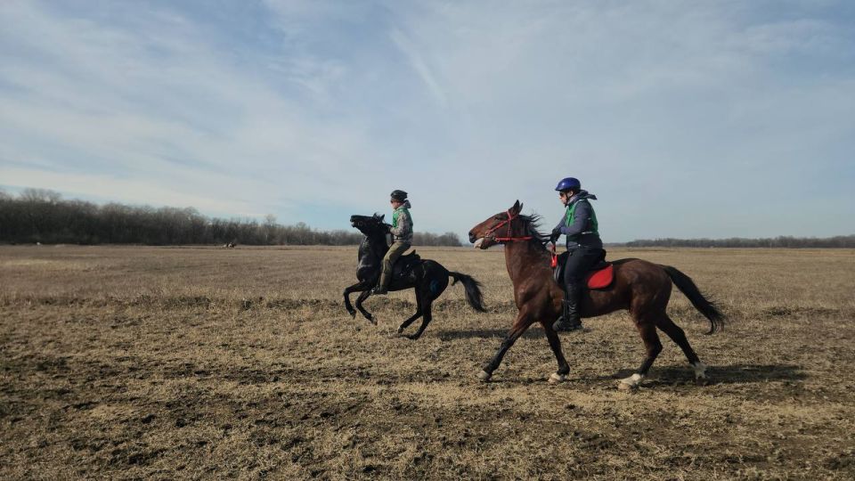 � ������� ������� ����� ��� �� ������ ��������