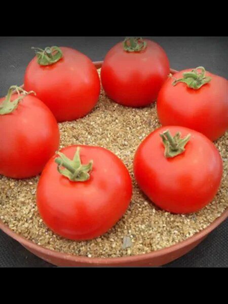 ��� ��������� ����������� ������ �����: ����, ������ � ������� ������