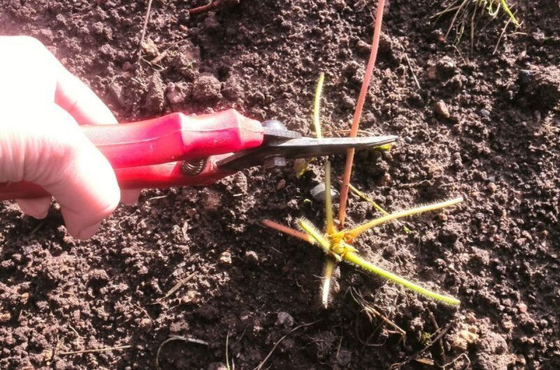 ������ ������ ��� ������ ������ �� ������� �������� � ��������