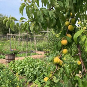 �������� � ������� ������: ��� ��� ����������? �������� ����������� ������