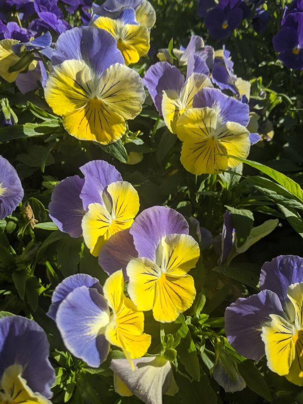 �������� ������: ��������� �����, ������������� ��� � �������� ����