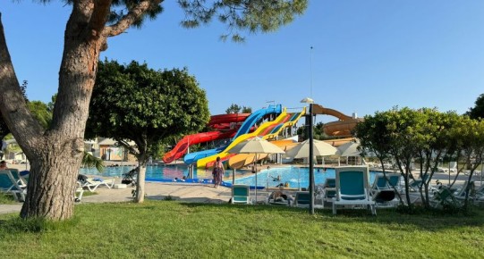 ������ ���������� ������ ��� ���������� ��������: ��� ������������ ������ ����� ������