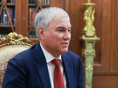 Эффективность самозапрета на кредиты: мнение Вячеслава Володина