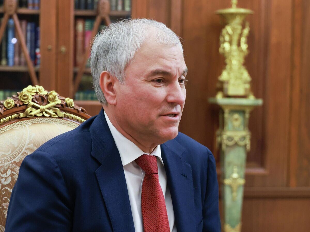 Эффективность самозапрета на кредиты: мнение Вячеслава Володина