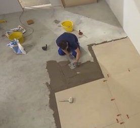 ��� ������� ������������ �� ���: ��������� �����������