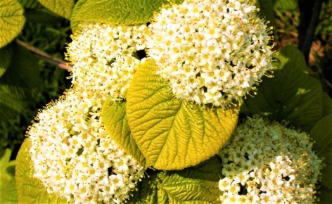 ���������� ��� ����� ��� �����: ��� ������� �������� ���