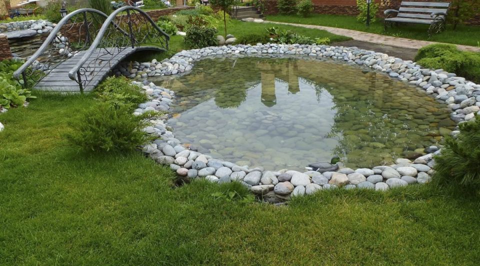 Создание пруда на даче: от выбора места до ухода за водоемом