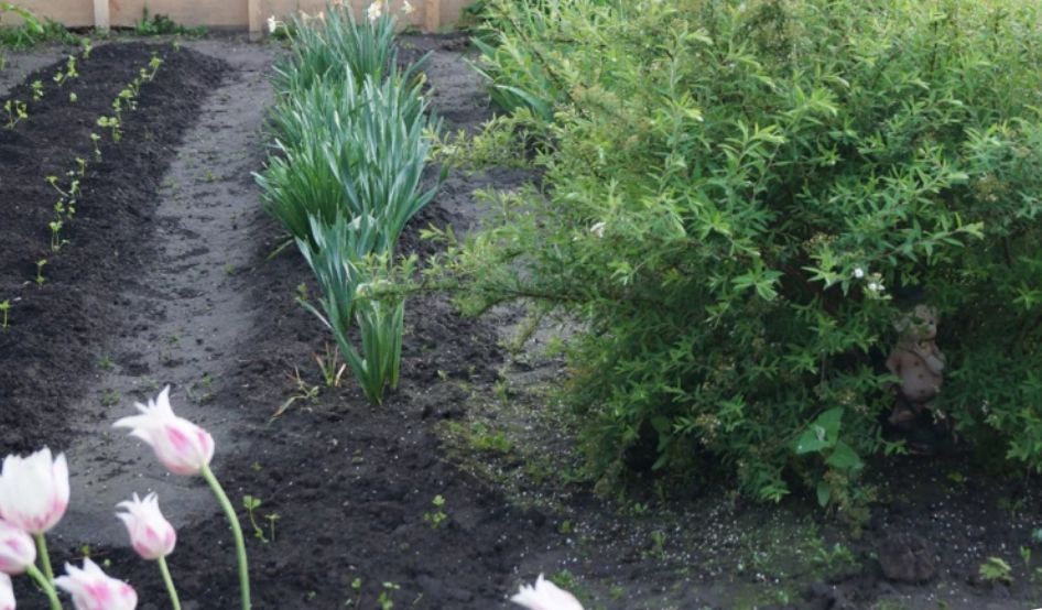 ����� � �������: ��� ����� ������� � ����