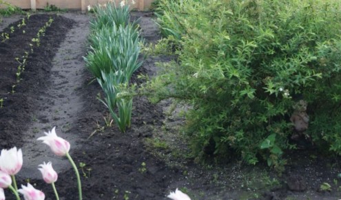 ����� � �������: ��� ����� ������� � ����