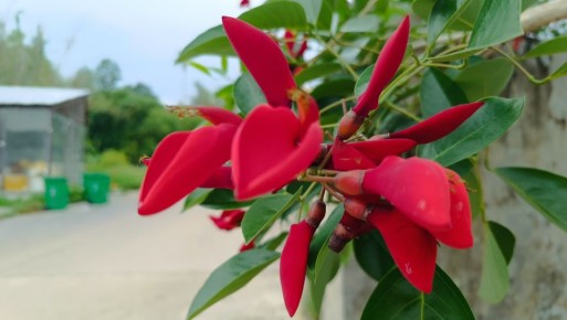 ��������� ������ �������: �������� ����� �� ����