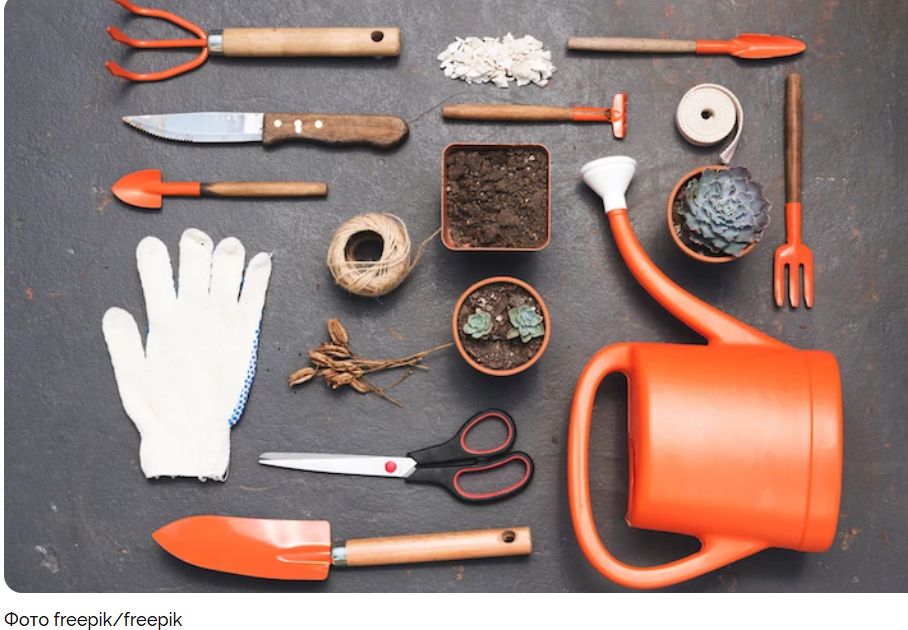 ��� ����������� ������� ��������� � ������ ������: ������ �� ����