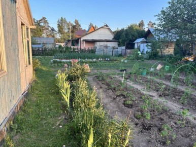 Эффективные методы борьбы с муравьями на вашем уютном курорте