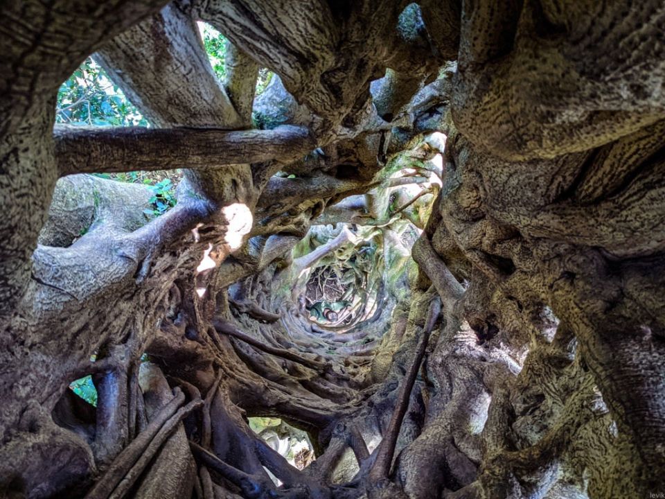 ������-��������: �������, ��������� �� ����������