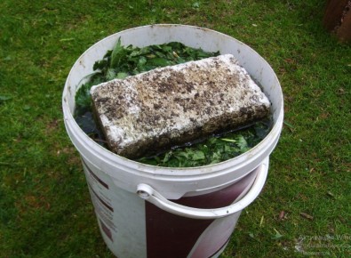 ���������� ������� ��������� ��� ���� ��� �����: ������� ��������� �������