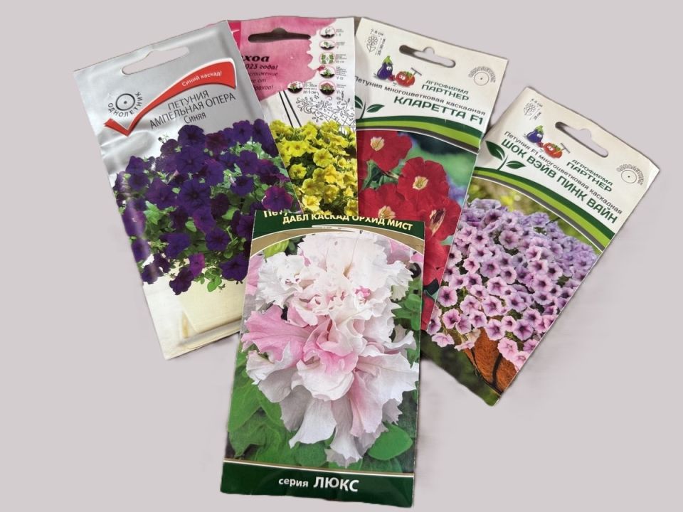 ����������� ����� ��� ������ �������: ������ ��� ��������� �����������