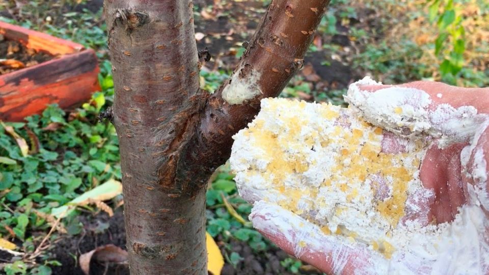 ��� ����������� �������� ������� � ��������� ������ �� �����