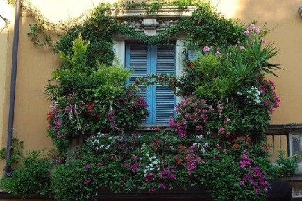 Как создать зеленый оазис на балконе