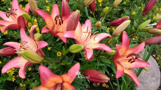 �������� ����: ��� ���������� � �������� �������� ����� �������