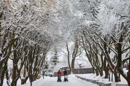 Новые социальные выплаты и права потребителей: что ждет россиян в феврале