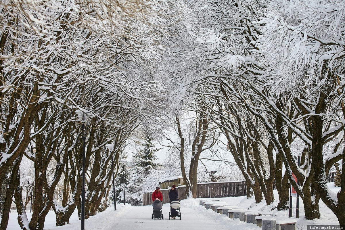 Новые социальные выплаты и права потребителей: что ждет россиян в феврале