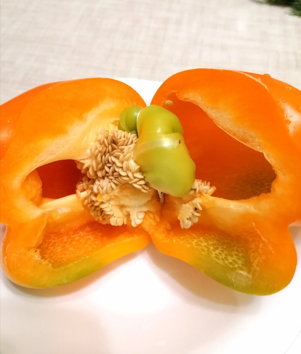 Как вырастить крепкий болгарский перец: неожиданные результаты эксперимента