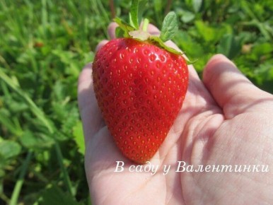 ������� ����� ��������: �������� ������ ����� ��� ����