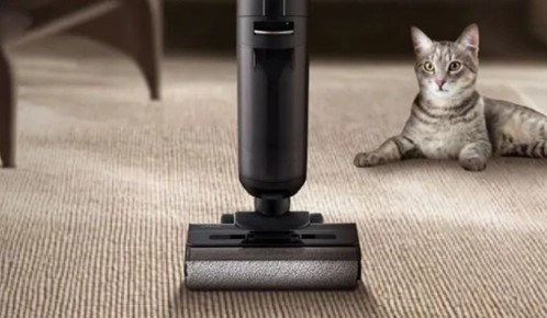 ������ �������: ������������� ��� ������ ���������?