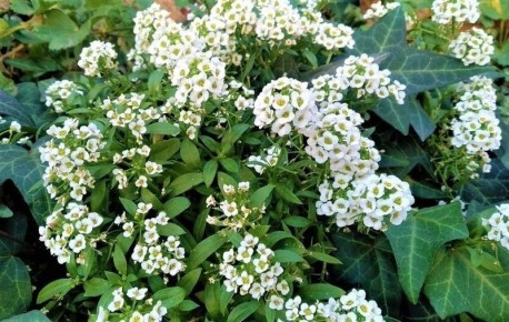 ���� ������� �������� � ��������!