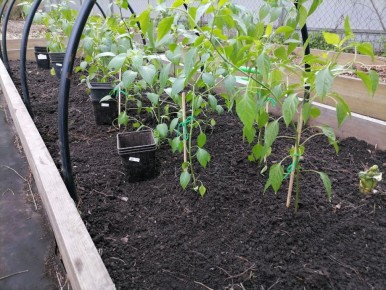 ��� �� ���������? ������ ������� ������ �� ��� ������� � ���� �����