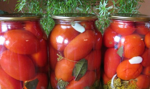 Как вырастить идеальные томаты для консервирования: секреты успешного сбора урожая