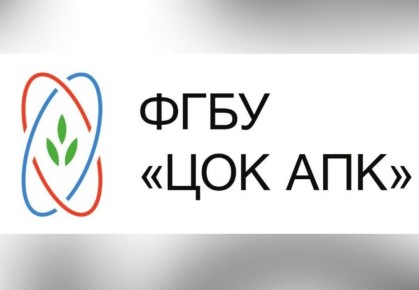 �������� ������: ��� ���������� ��������