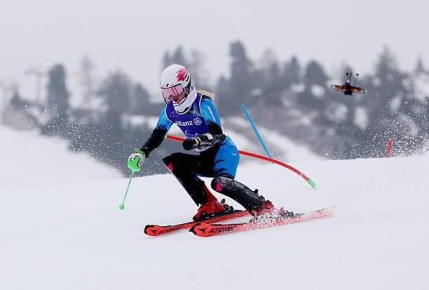 ���������� ������������ ������� ����������� ��������� ������ ������ �� ������������-2026