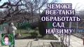 Какими средствами обработать сад перед зимой: выбор для каждого садовода