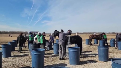 28 ����� � �����-���������� ��������� "������� ������" ������� ��������� � ���������� ���, � ����� ������������ ������������ �� ��������, ����������� ������ ������ ��������