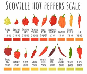 ������ ��� ������: ��� ����� ����� �� �� �������?