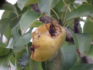 ��� �������� ������ �� ������� � ��