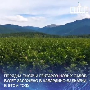 � ������������ ������ ������ ����������� ���������-�������� ���������� � ������� ����� �����