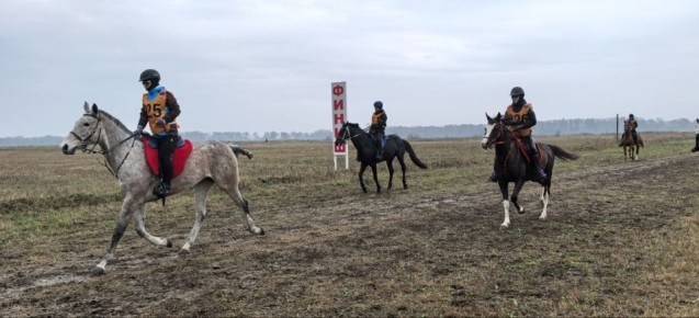 В конноспортивном комплексе «Красный Гедуко» проходят соревнования по конным пробегам памяти первого покорителя Эльбруса Килара Хаширова