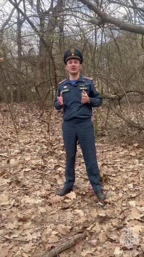 заблудился в лесу- не паникуй, а слушай наши советы